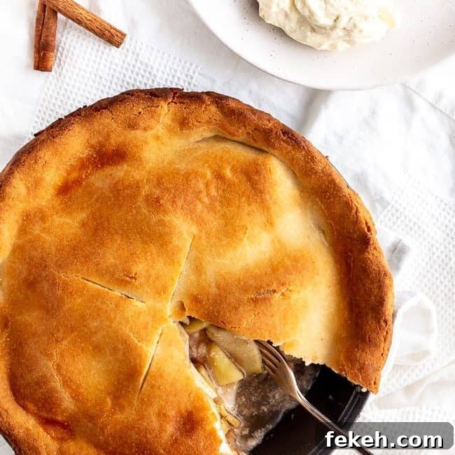 Dairy-Free Keto Flaky Pie Crust Recipe 6 Dairy Free Keto Pie Crust