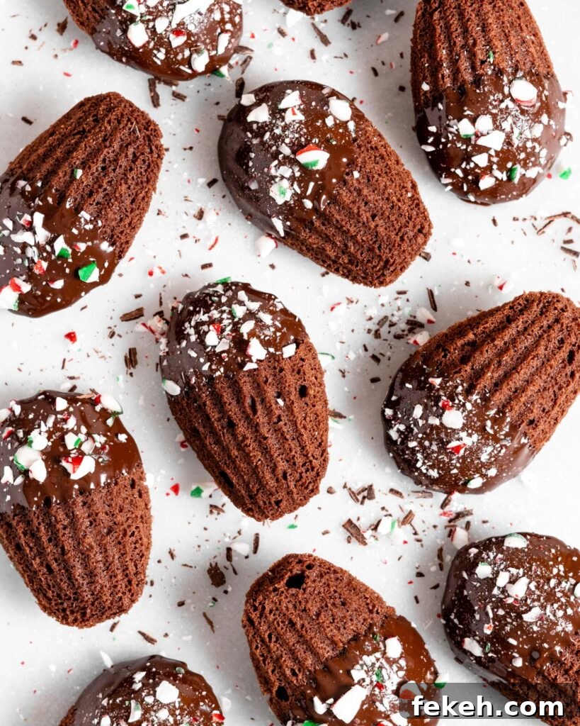 Chocolate Peppermint Madeleines Recipe for Festive Cookies 3 Chocolate peppermint madeleines dipped in chocolate and sprinkled with candy canes