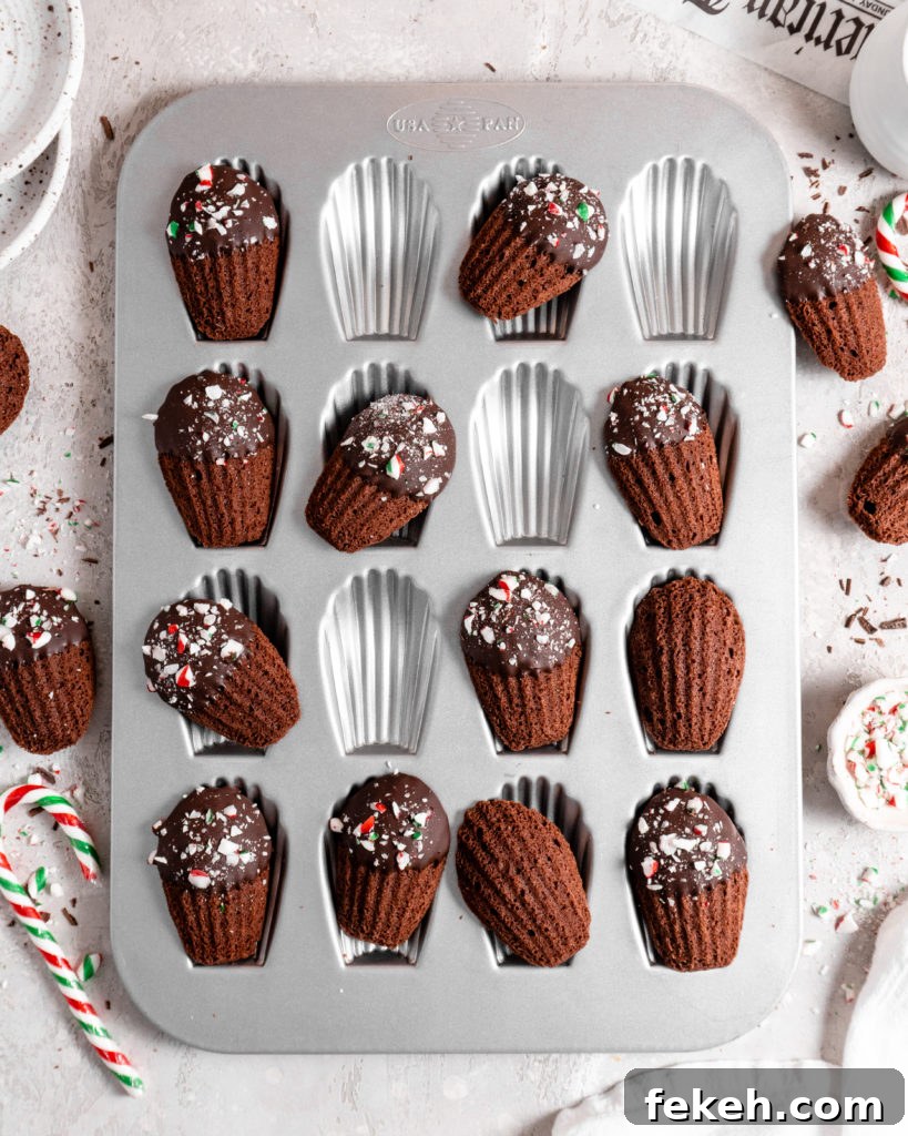 Chocolate Peppermint Madeleines Recipe for Festive Cookies 5 Chocolate peppermint madeleines dipped in chocolate and sprinkled with candy canes