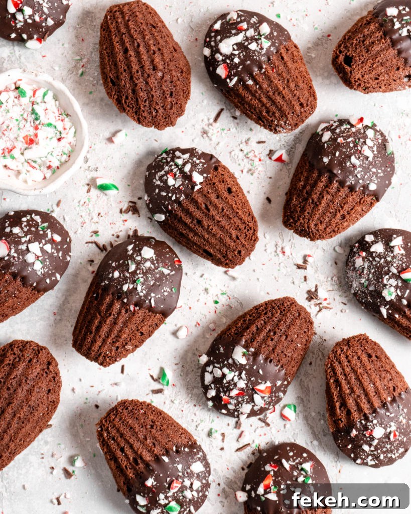 Chocolate Peppermint Madeleines Recipe for Festive Cookies 6 Chocolate peppermint madeleines dipped in chocolate and sprinkled with candy canes