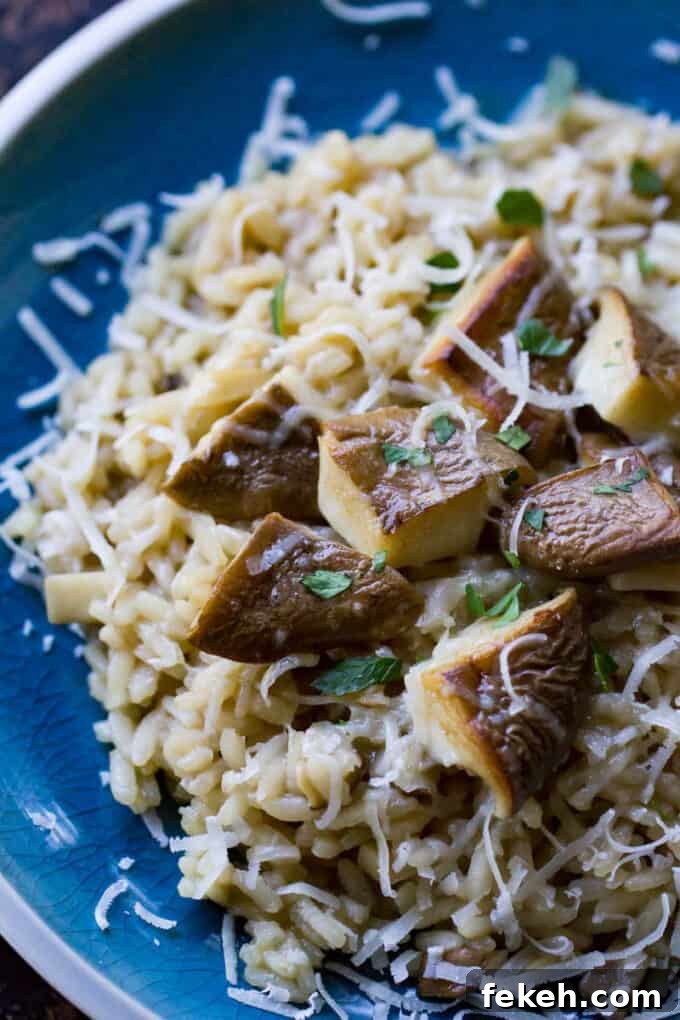 Smoked Pork Loin on a Traeger: Juicy Wood-Fired Recipe 9 Mushroom Risotto