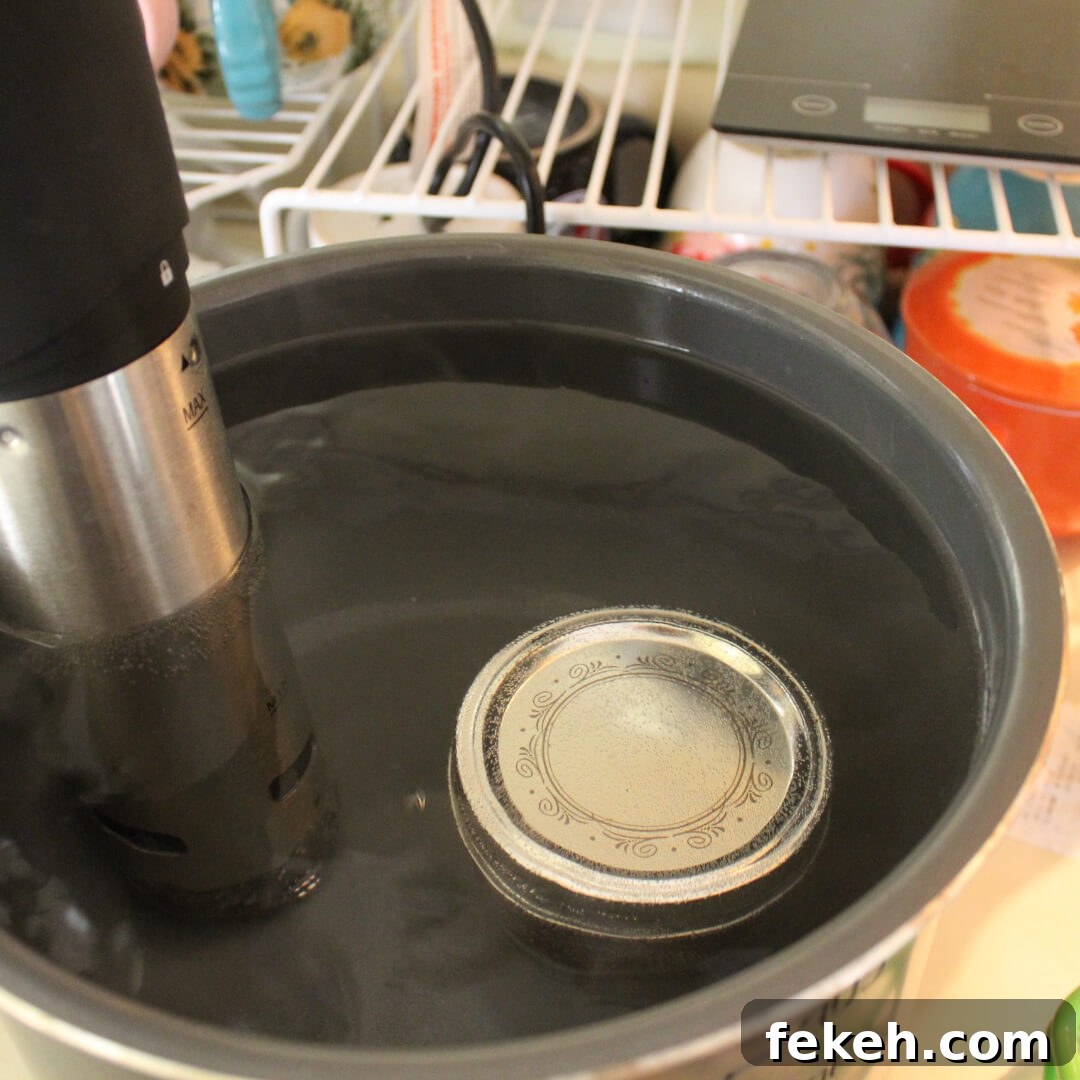 How to Make Rich Homemade Vanilla Extract at Home 3 Sues Vide Homemade Vanilla Extract