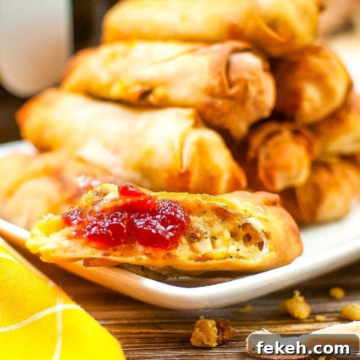 Image for Air Fryer Thanksgiving Egg Rolls