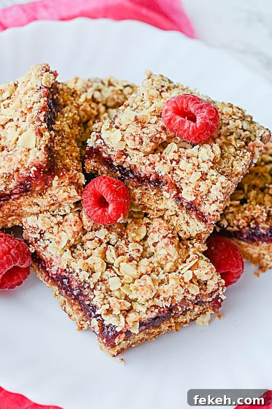 gf oatmeal bars with raspberry