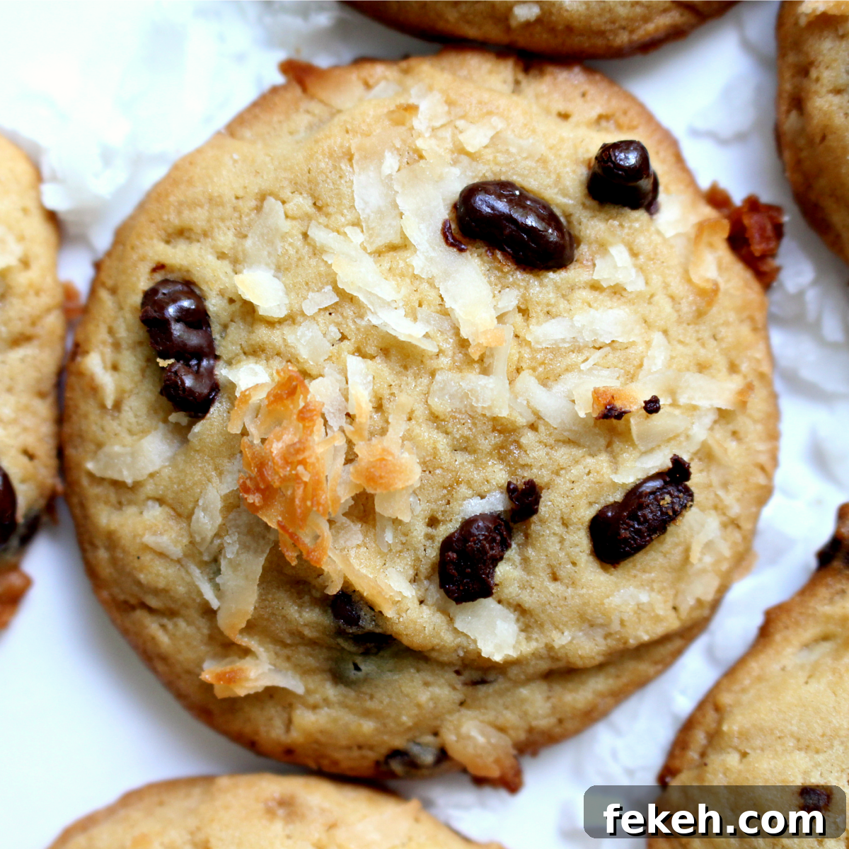 A close-up shows the browned shredded coconut and crunchy texture. Closeup of cookie topped with browned shredded coconut.