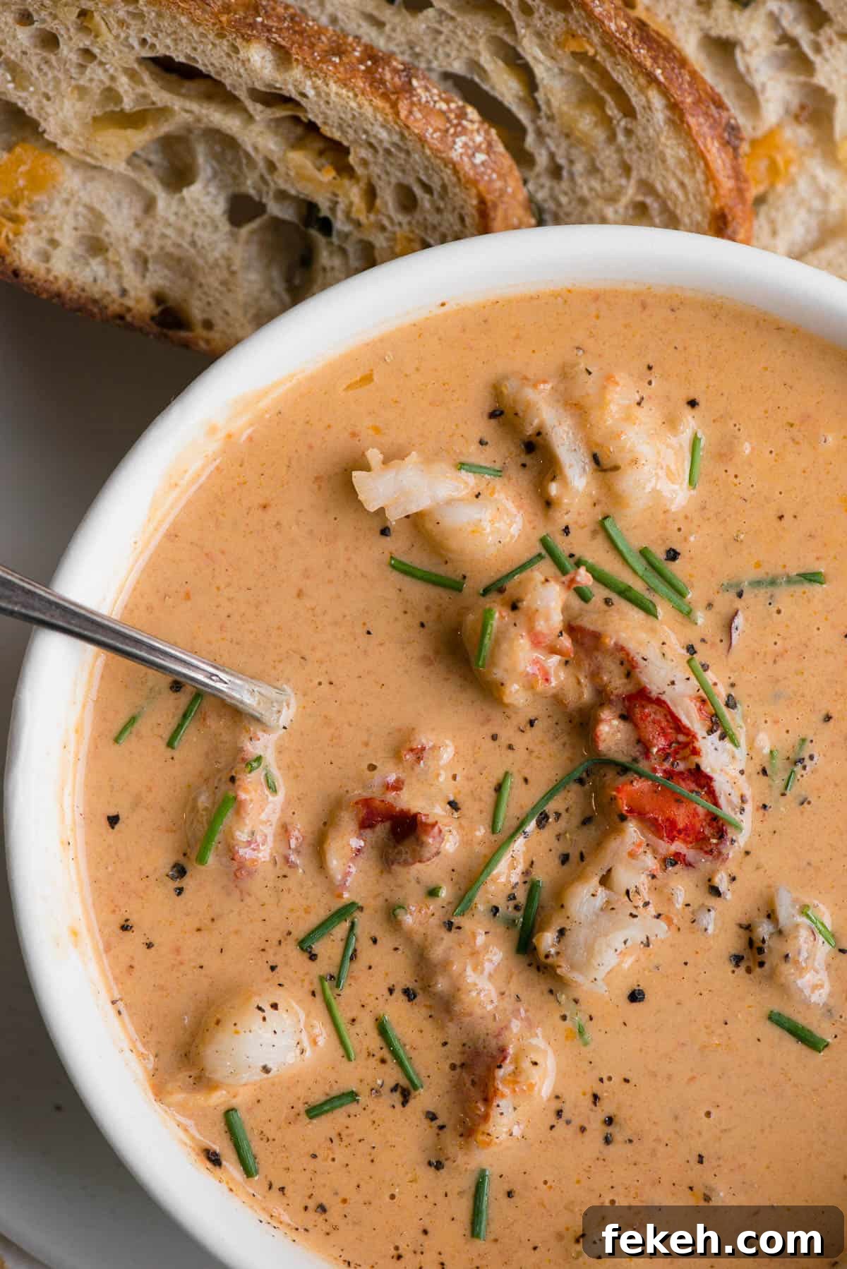 close up of homemade lobster bisque