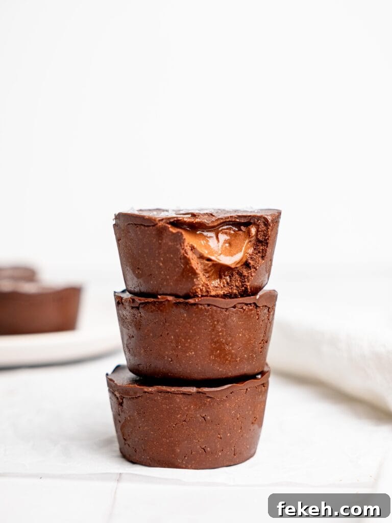 No-Bake Mini Triple Chocolate Cheesecakes Recipe 2 img 5623 1