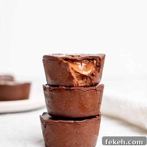 No-Bake Mini Triple Chocolate Cheesecakes Recipe 21 Easy & Healthy No-Bake Mini Triple Chocolate Cheesecakes.