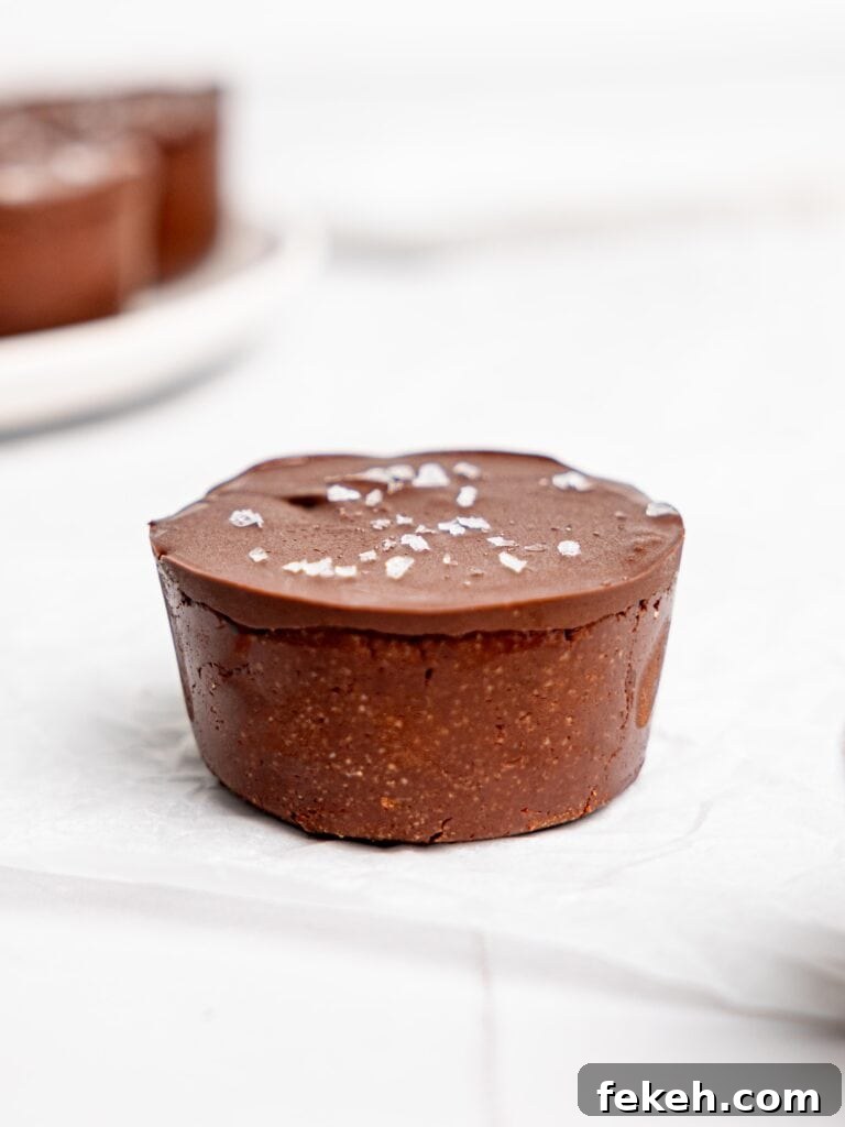 No-Bake Mini Triple Chocolate Cheesecakes Recipe 4 A mini triple chocolate cheesecake.
