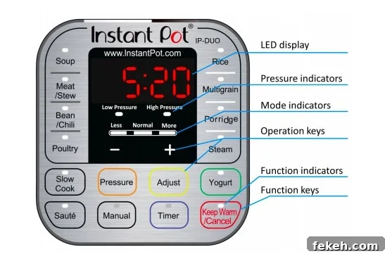 Instant Pot close-up