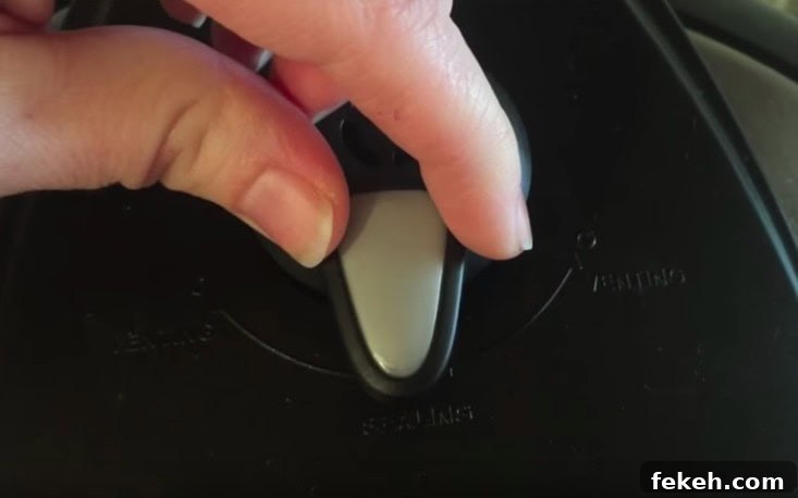 Instant Pot vent