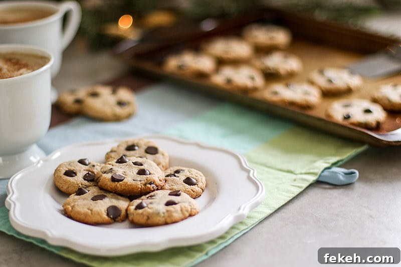 12 Clean-Eating Recipes You’ll Love from 2017 14 Paleo Chocolate Chip Cookies / These healthy treats are low sugar and full of good-for-you-ingredients. With only 5 ingredients, these take minutes to whip up.