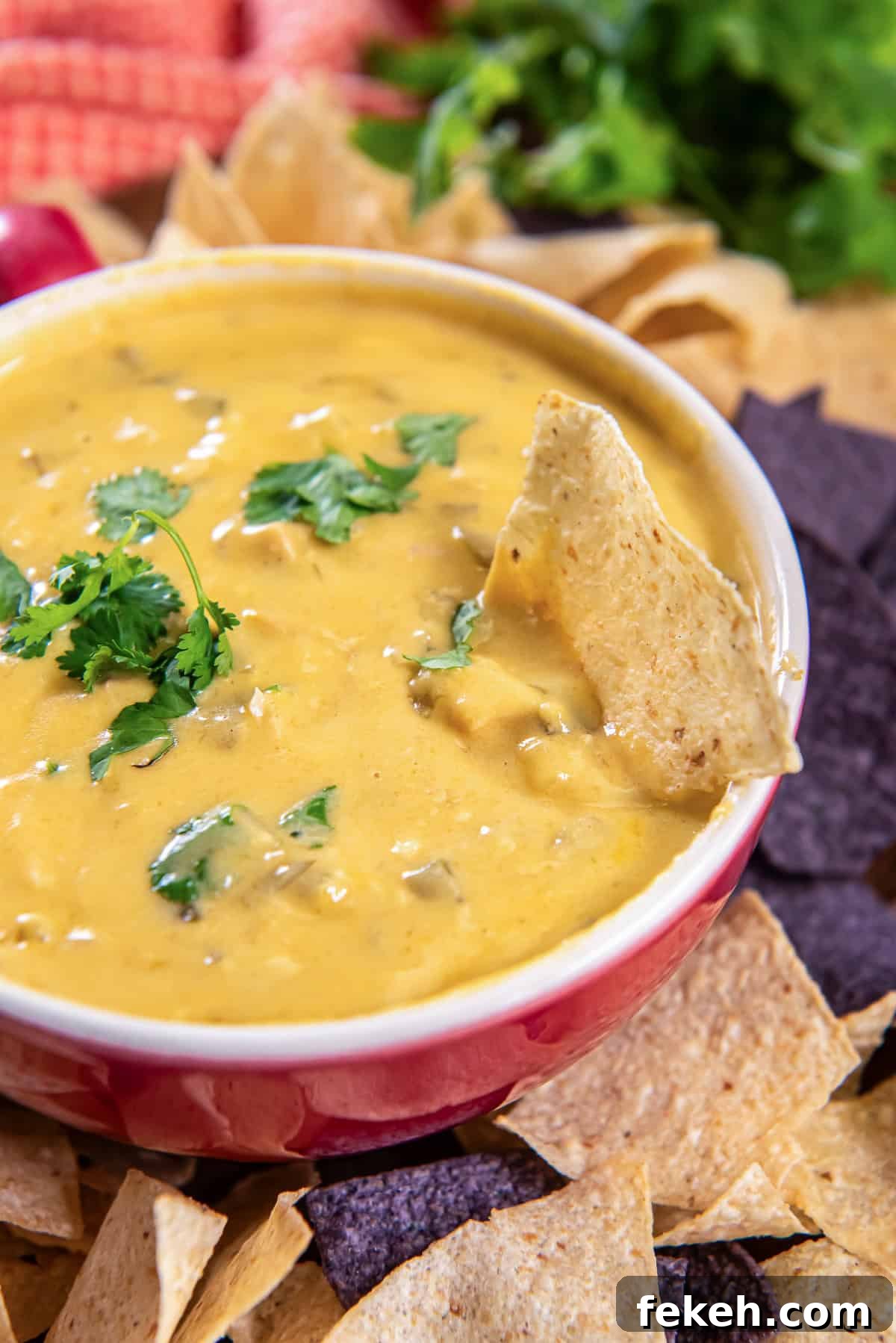 Slow Cooker Chicken Queso Dip Recipe for Game Day Snacks 7 A tortilla chip resting in a bowl of chicken queso dip.