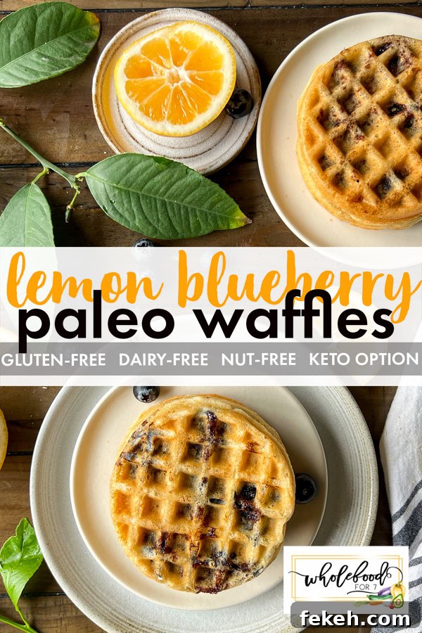 Lemon Blueberry Paleo Waffles Recipe for Grain-Free Breakfast 2 Lemon Blueberry Paleo Waffles - Gluten-free, dairy-free, nut-free, keto option.