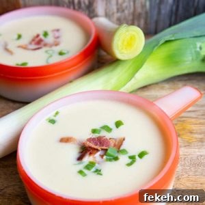 Low-Carb Instant Pot Leek and Cauliflower Soup Recipe 8 img 609 7