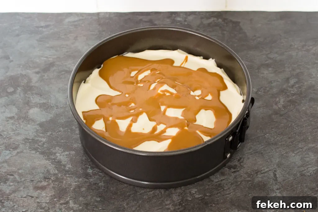 No-Bake Biscoff Cheesecake Recipe with Crunchy Cookie Crust 12 Springform pan with a Biscoff biscuit base topped with a cheesecake filling and runny Biscoff