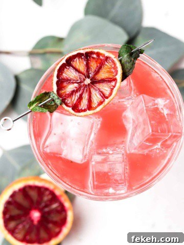 Overhead shot of a blood orange mojito in a glass with a dehydrated blood orange on the edge.