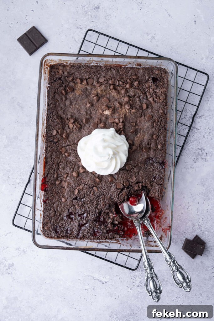 4-Ingredient Chocolate Cherry Dump Cake Recipe 7 Overhead image of cherry chocolate dump cake with portion scooped out and whipped cream in the center.