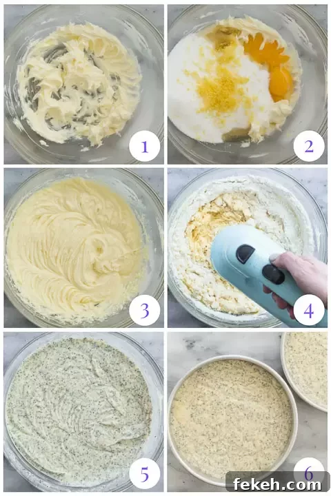 how to make poppy seed cake layers