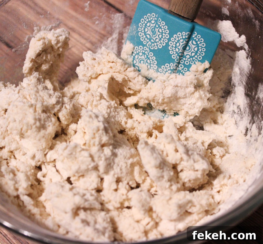 Flaky Homemade Biscuits Recipe for Perfect Oven Biscuits 2 homemade biscuit in p1