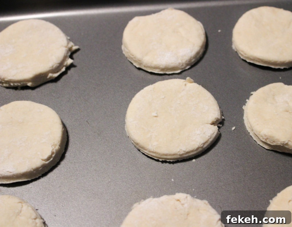 Flaky Homemade Biscuits Recipe for Perfect Oven Biscuits 4 img 6869 5