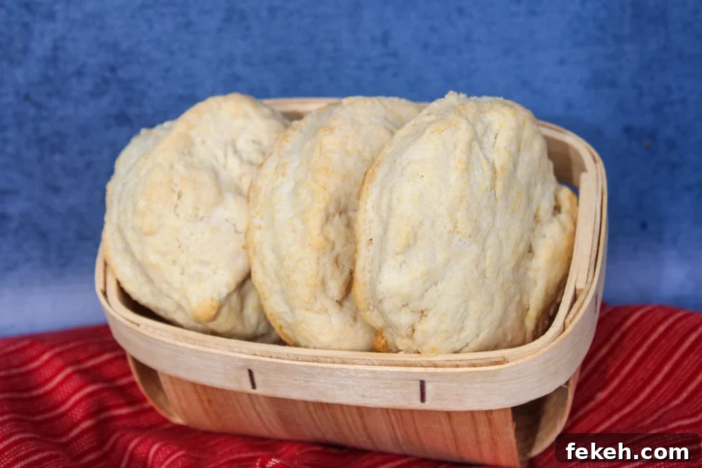 Flaky Homemade Biscuits Recipe for Perfect Oven Biscuits 5 homemade biscuits in basket
