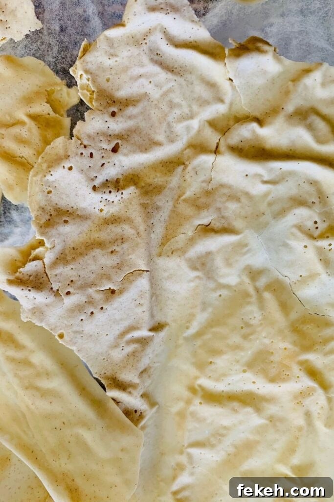 Dehydrating Sourdough Starter: Step-by-Step Guide for Storage 4 Sheet of dried sourdough starter showing how the bubbles have been dried into the starter by the dehydrator.
