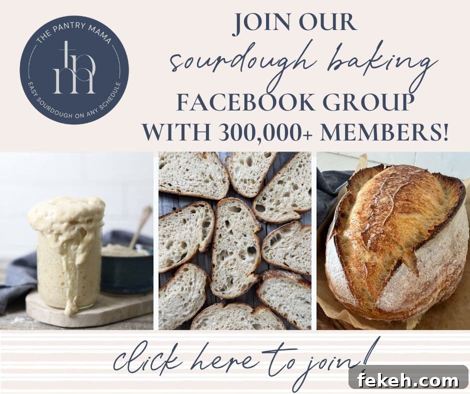 Dehydrating Sourdough Starter: Step-by-Step Guide for Storage 7 img 7213 6