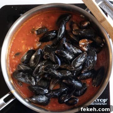Spicy Mussels Fra Diavolo Recipe: Fiery Tomato & Garlic Stew 8 Mussels in tomato sauce in a pan.