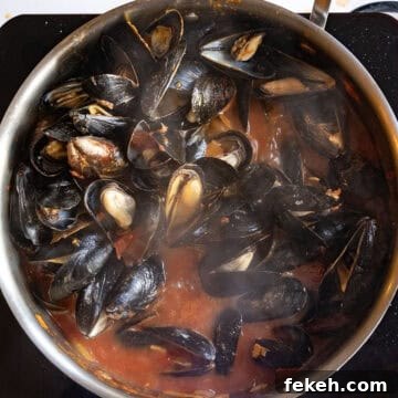 Spicy Mussels Fra Diavolo Recipe: Fiery Tomato & Garlic Stew 9 Mussesls steamed and opened in a pan with the fra diavolo sauce.
