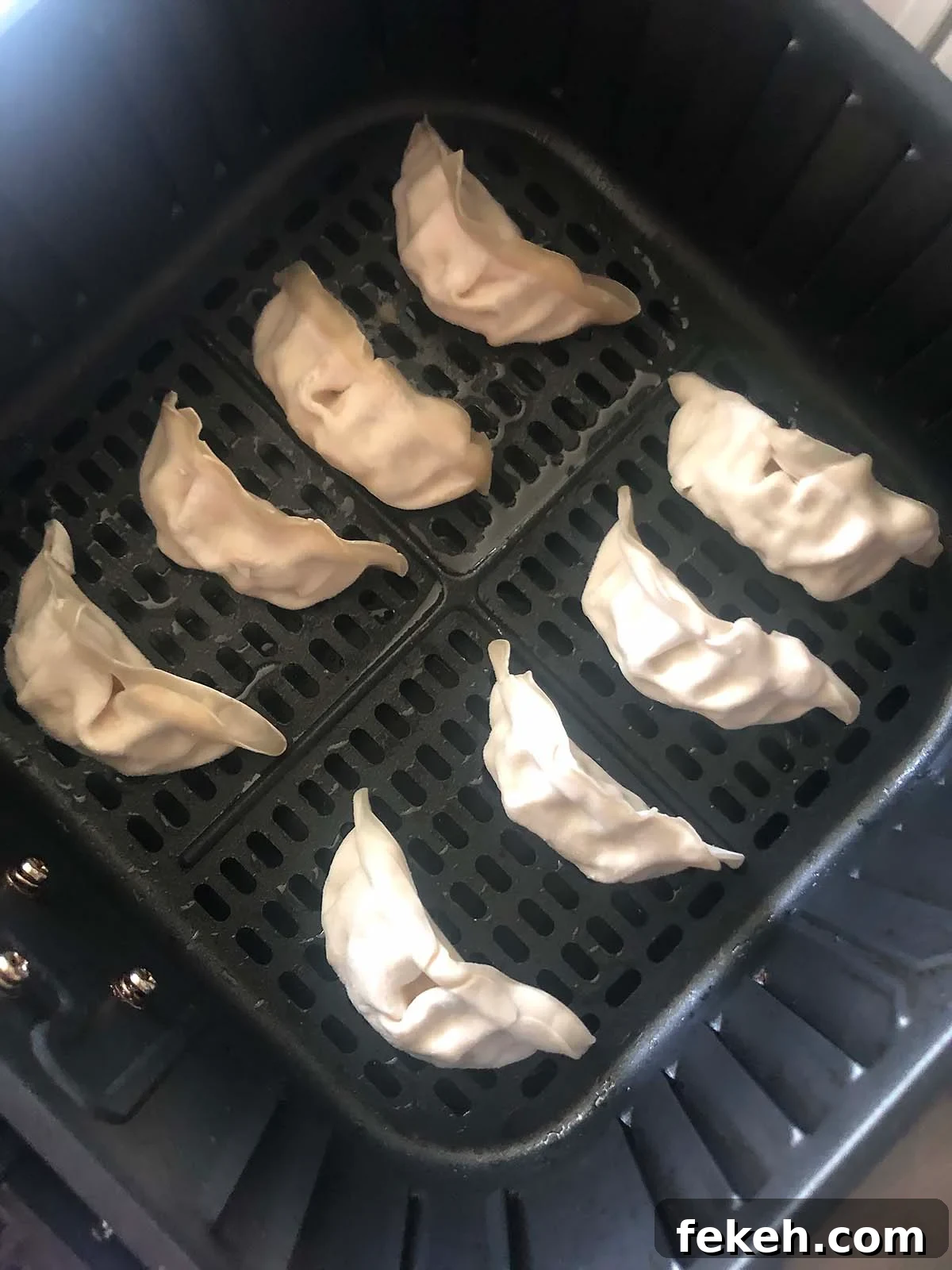 Crispy Air Fryer Frozen Potstickers: Quick Cooking Guide 3 uncooked potstickers in air fryer basket