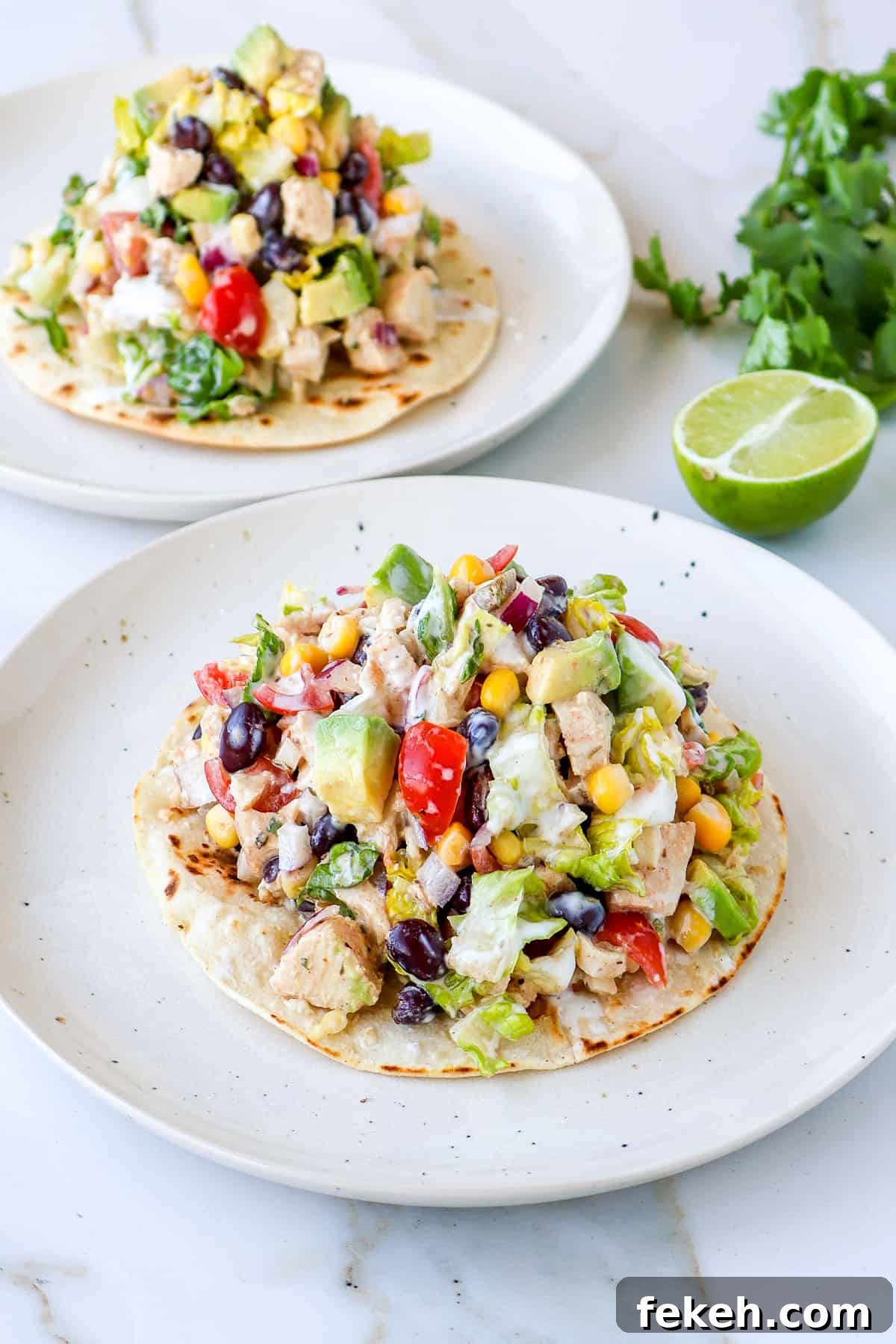 Crispy Chicken Salad Tostadas with Avocado and Lime 9 Side shot of the prepared tostadas with lime and coriander on the side.