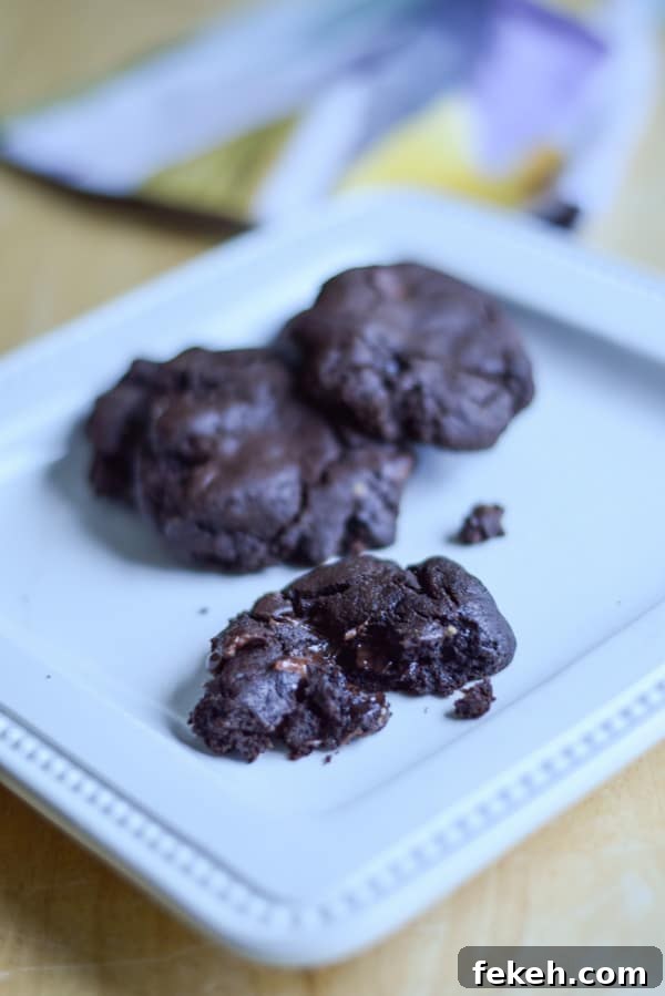 Decadent Chocolate Mint Cookie Recipes for Mint Lovers 10 A white square plate with chocolate cookies on it