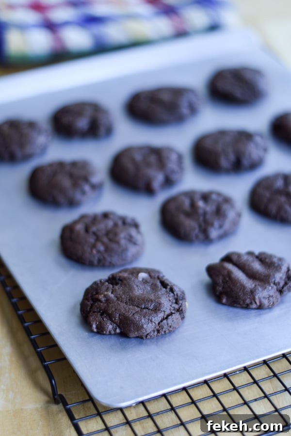 Decadent Chocolate Mint Cookie Recipes for Mint Lovers 9 The chocolate cookies on a cookie sheet
