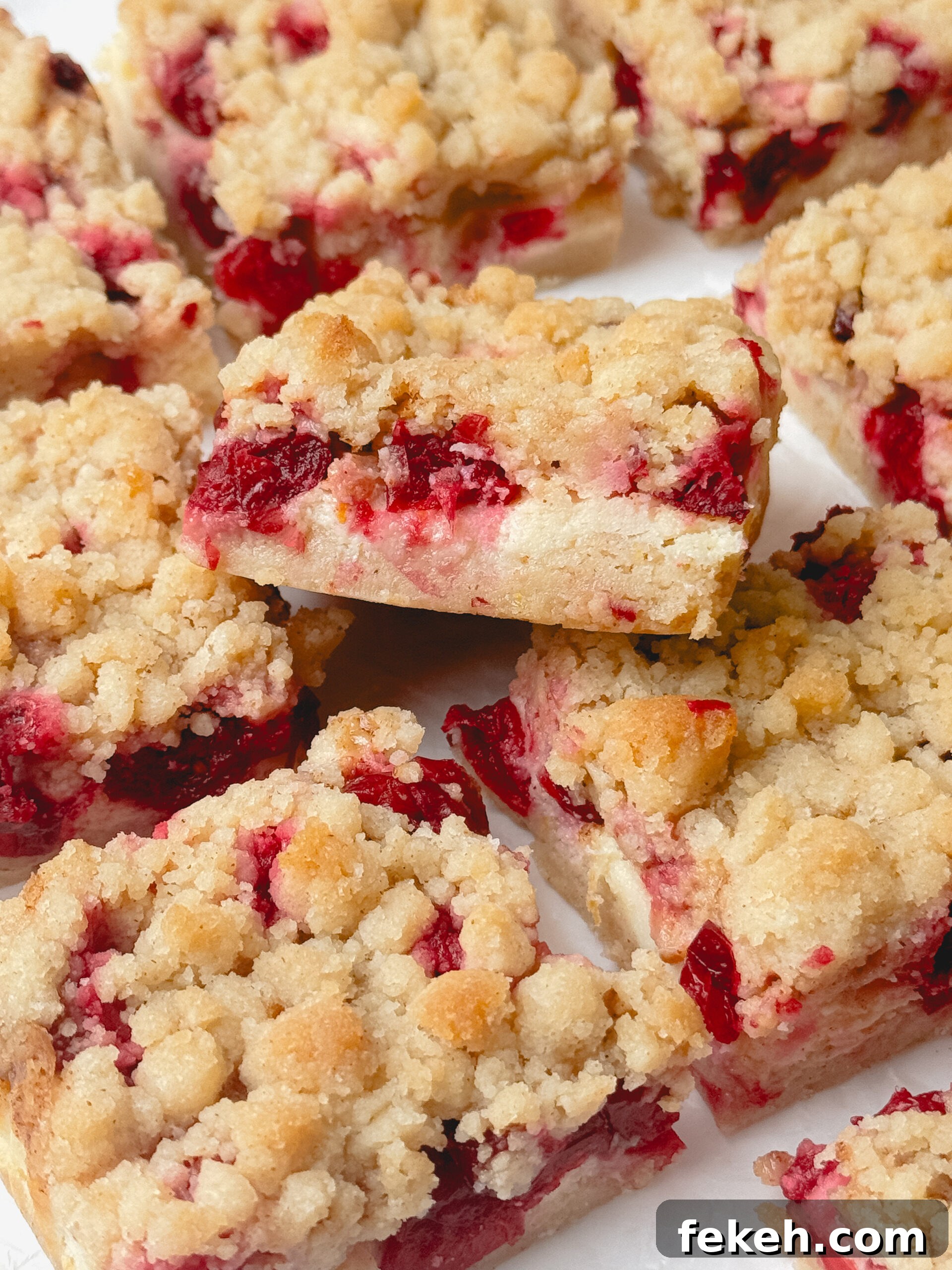 Cranberry Cheesecake Bars with Golden Crumble Topping 8 img 85003 10