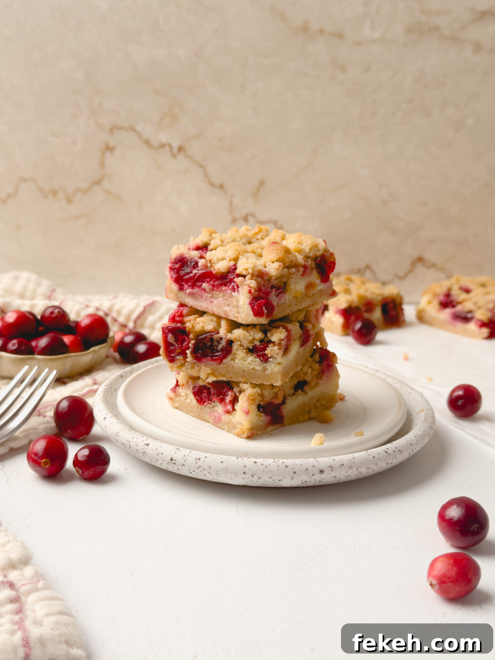 Cranberry Cheesecake Bars with Golden Crumble Topping 10 img 85003 12