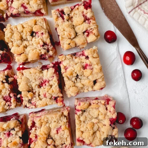 Cranberry Cheesecake Bars with Golden Crumble Topping 11 img 85003 13
