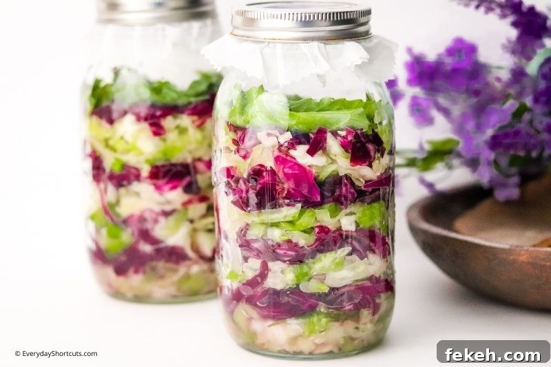 Red and Green Garlic Sauerkraut Recipe for Tangy Homemade Ferment 13 how to make Red and Green Garlic Sauerkraut