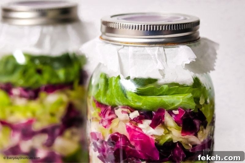 Red and Green Garlic Sauerkraut Recipe for Tangy Homemade Ferment 14 garlic sauerkraut