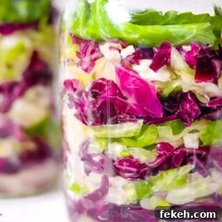 Red and Green Garlic Sauerkraut Recipe for Tangy Homemade Ferment 15 img 85386 14