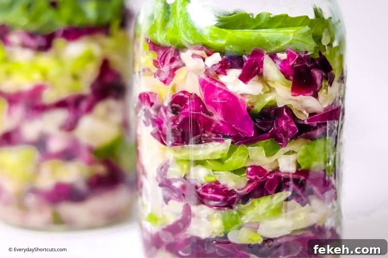 Red and Green Garlic Sauerkraut Recipe for Tangy Homemade Ferment 3 Red and Green Garlic Sauerkraut
