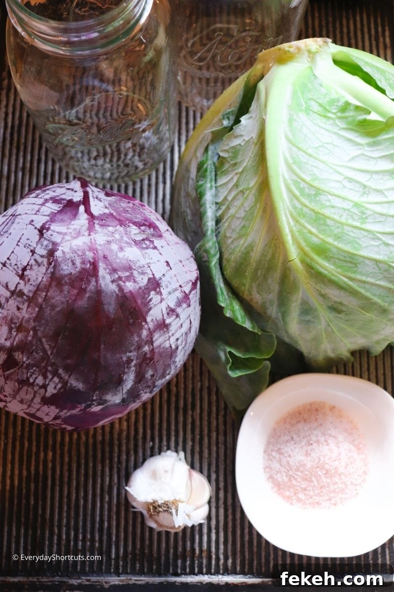 Red and Green Garlic Sauerkraut Recipe for Tangy Homemade Ferment 4 img 85386 3