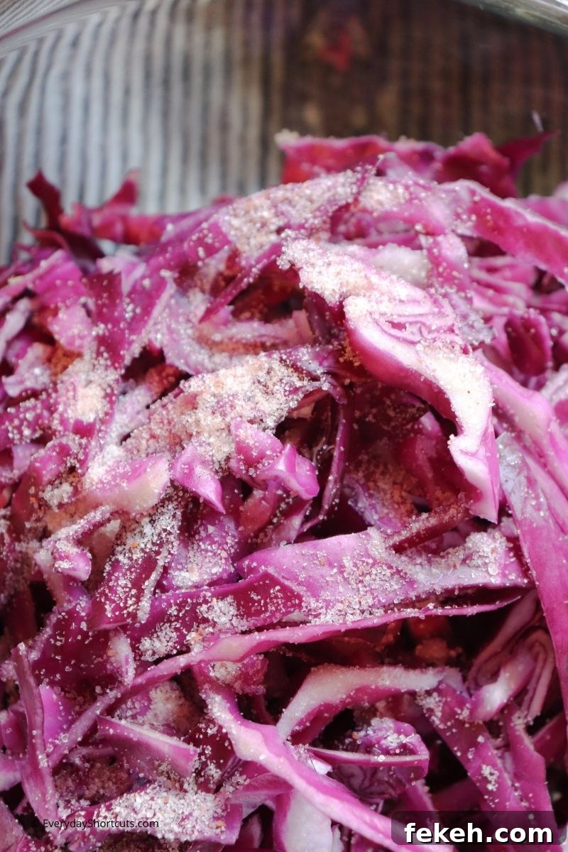 Red and Green Garlic Sauerkraut Recipe for Tangy Homemade Ferment 6 img 85386 5