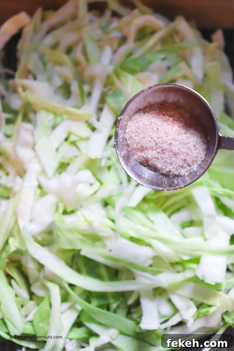 Red and Green Garlic Sauerkraut Recipe for Tangy Homemade Ferment 7 img 85386 6