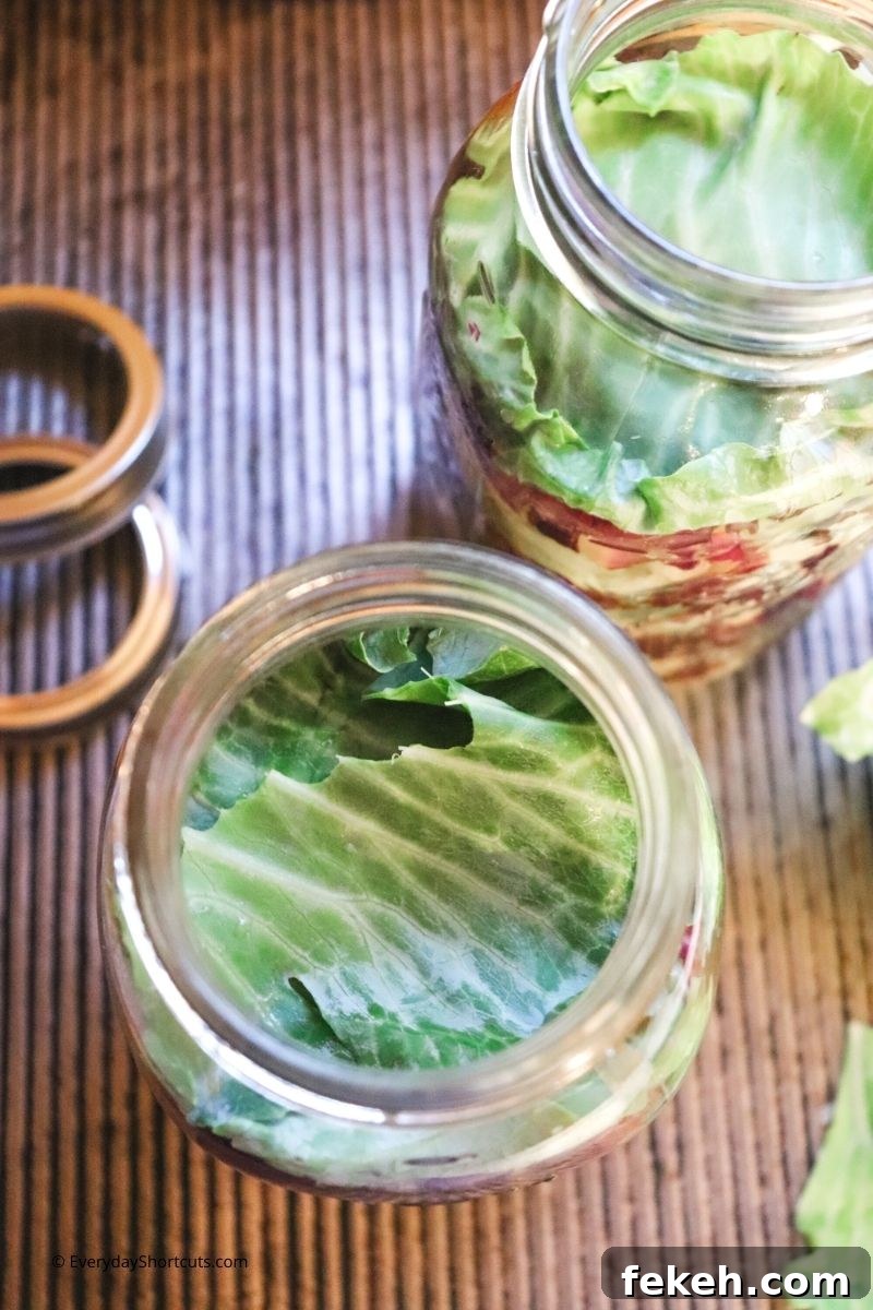 Red and Green Garlic Sauerkraut Recipe for Tangy Homemade Ferment 10 the best Red and Green Garlic Sauerkraut Recipe