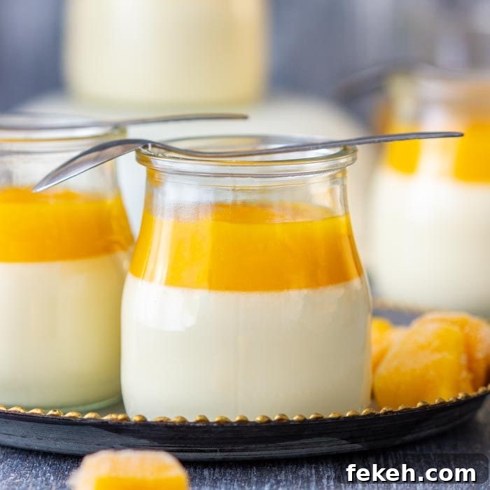 Mango Yogurt Popsicles Recipe: Creamy Tropical Frozen Treats 14 Best Mango Panna Cotta