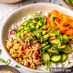 Ginger Honey Ground Chicken Rice Bowls with Asian Flavors 15 Ginger Honey Ground Chicken Bowls - Olivia Adriance