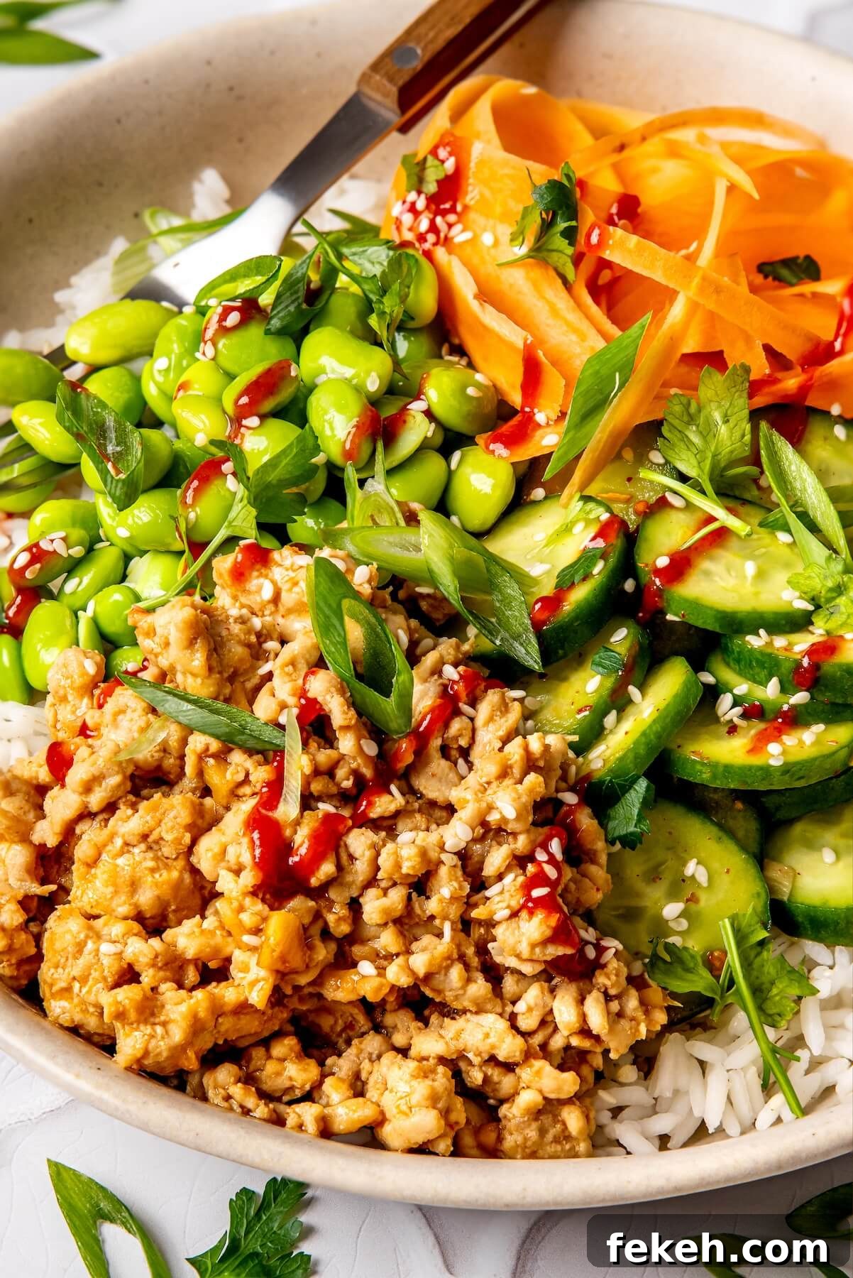 Ginger Honey Ground Chicken Rice Bowls with Asian Flavors 4 Ginger Honey Ground Chicken Bowls - Olivia Adriance