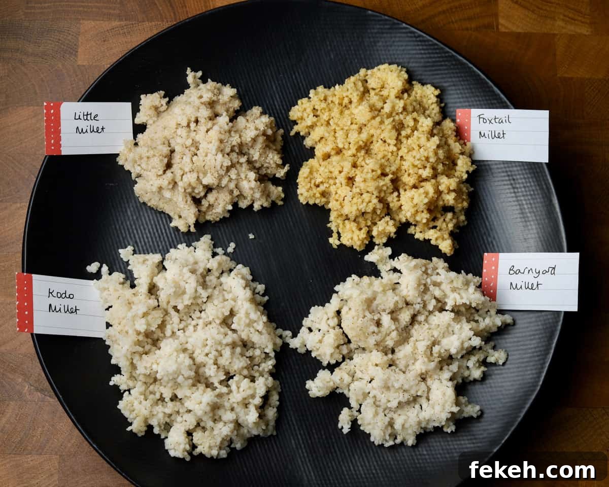 How to Cook Millet Perfectly on Stovetop or Instant Pot 5 photo of a black plate showing labelled piles of cooked Kodo, barnyard, foxtail and little millet.