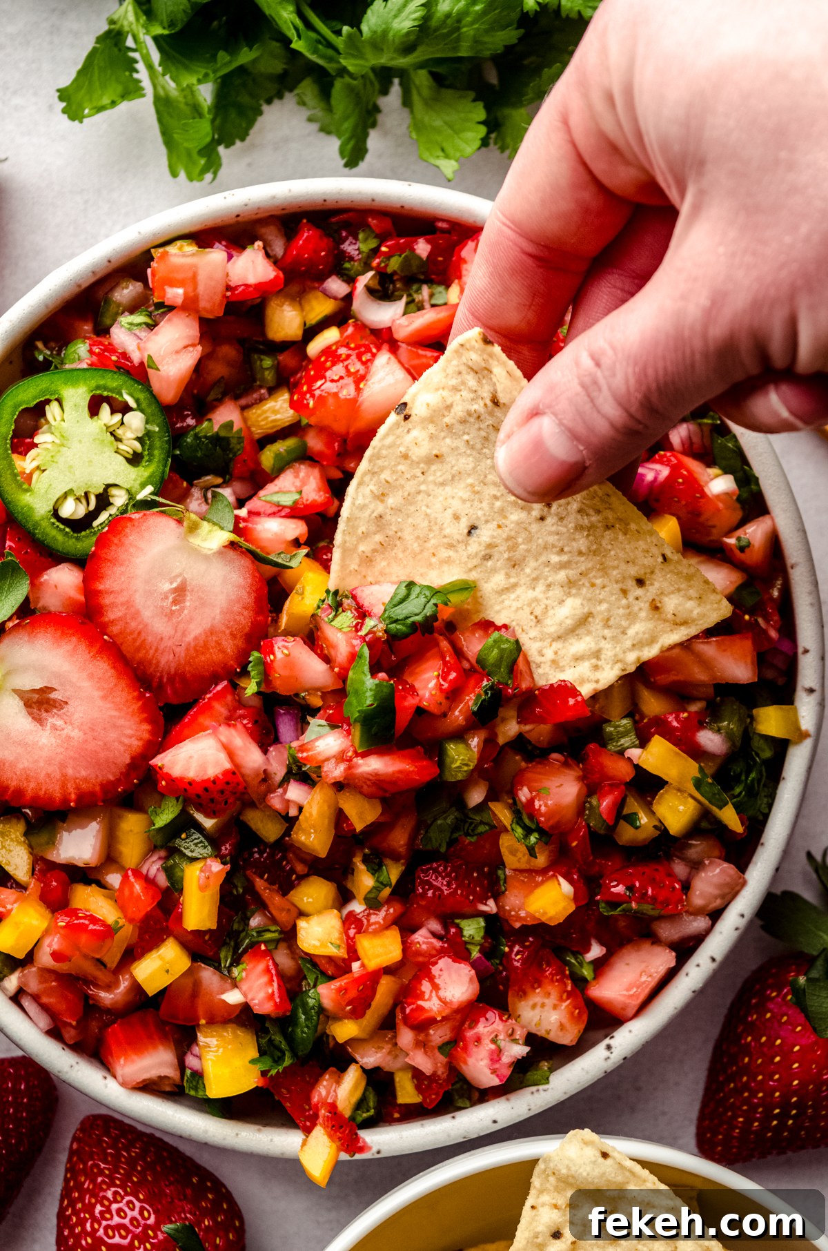 Fresh Strawberry Salsa Recipe: Zesty Fruit Salsa for Chips & Tacos 6 Someone is dipping a tortilla chip into a bowl of fresh strawberry salsa.